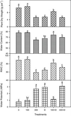 Low Salinity Improves Photosynthetic Performance in Panicum antidotale Under Drought Stress